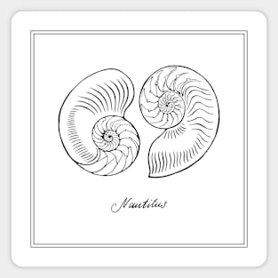 Two Halves of Nautilus Tiger Shell. Retro style illustration. Magnet